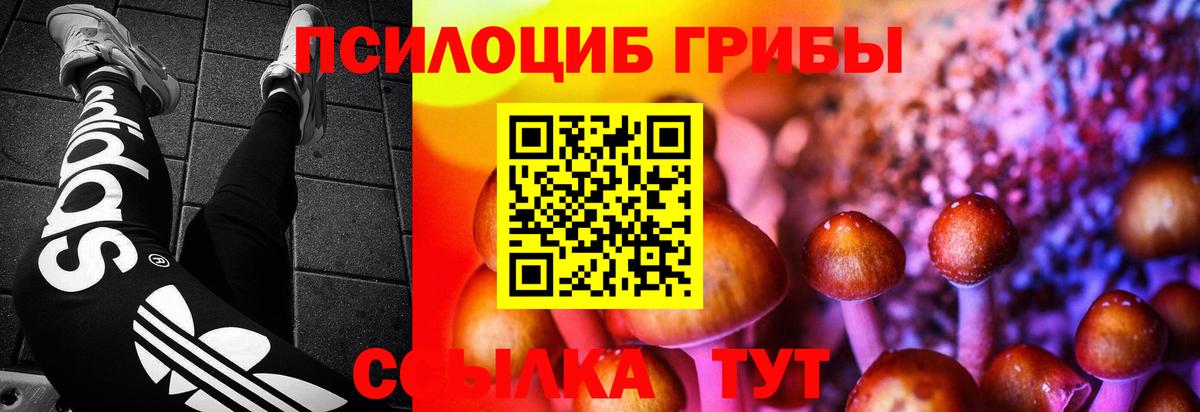 Городец  Галлюциногенные грибы Magic Shrooms  Вход с VPN  Псилоцибиновые грибы прущие грибы 